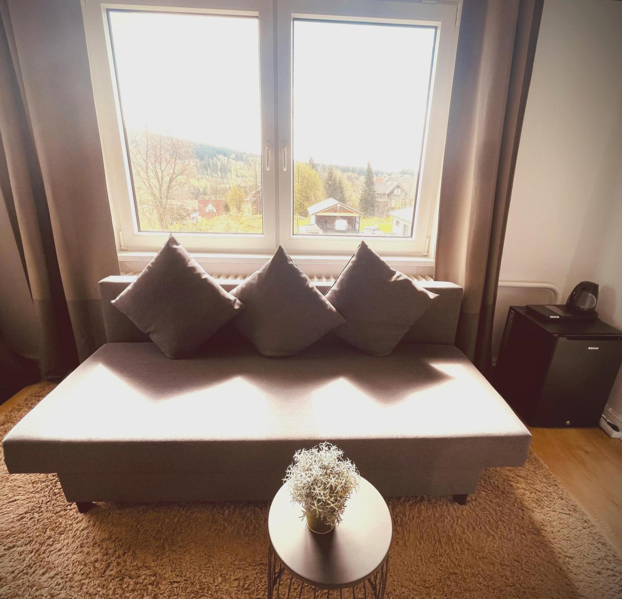 Berghotel Harz Goslar Luaran gambar